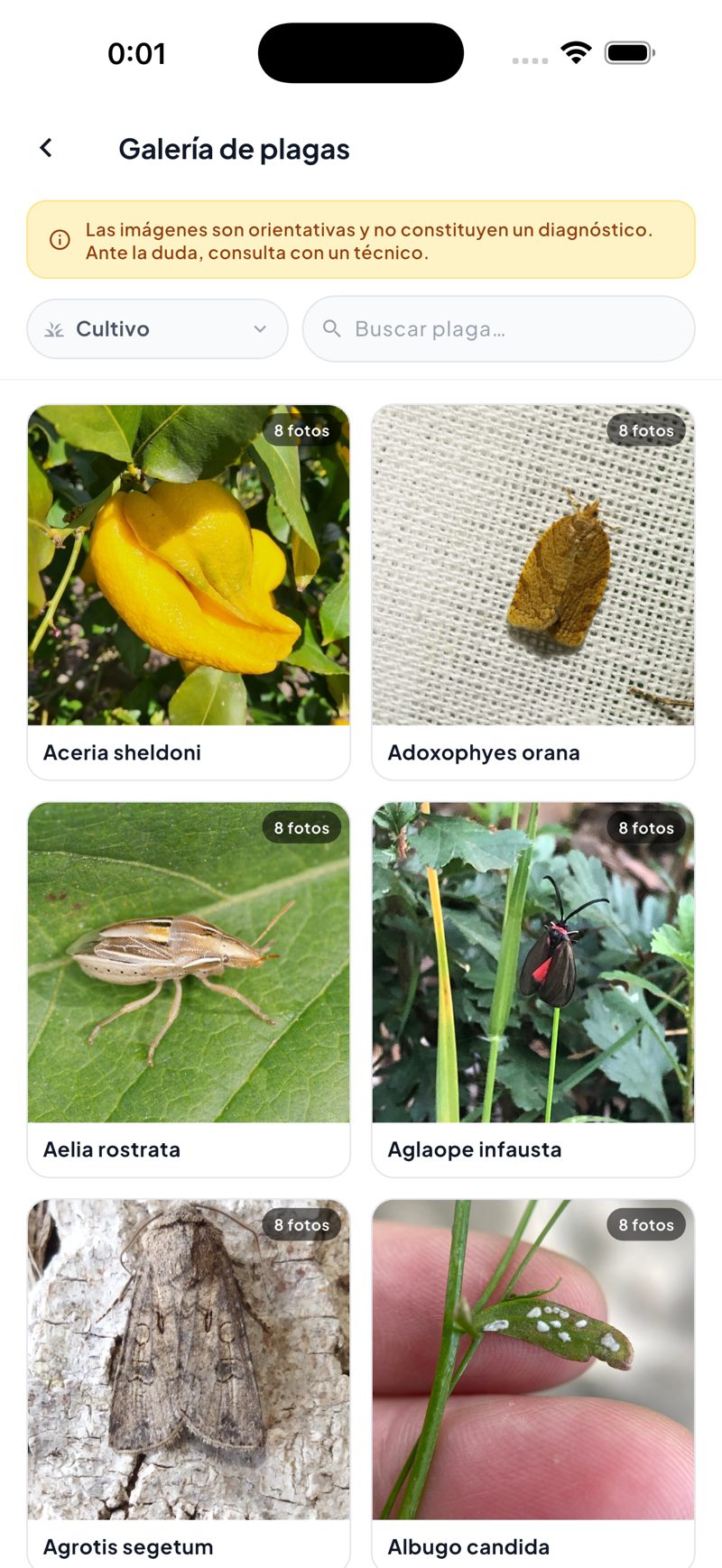 Pantalla de la app PlantCare X: Galería de plagas